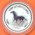 Year of the HORSE Australian Silver coins - Lynn Coins